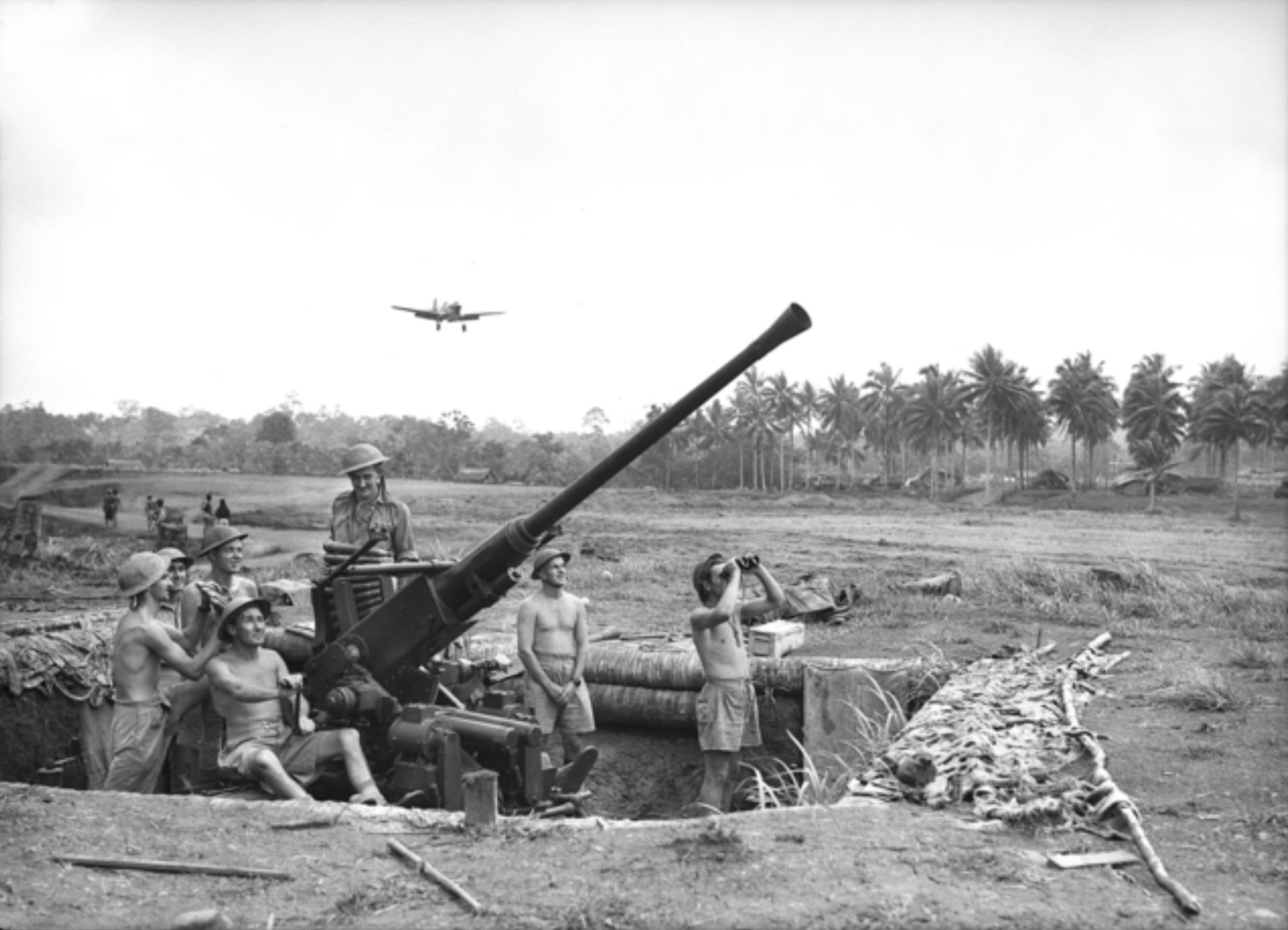 A Kittyhawk comes in to land at No. 1 Airstrip, guarded by a Bofors 40 mm anti-aircraft gun of the 2/9th Light Anti-Aircraft Battery. 